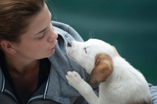 Foto de Oleksandr P: https://www.pexels.com/pt-br/foto/mulher-vestindo-jaqueta-cinza-ao-lado-do-filhote-de-cachorro-branco-1174081/