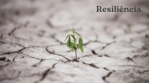 resiliência